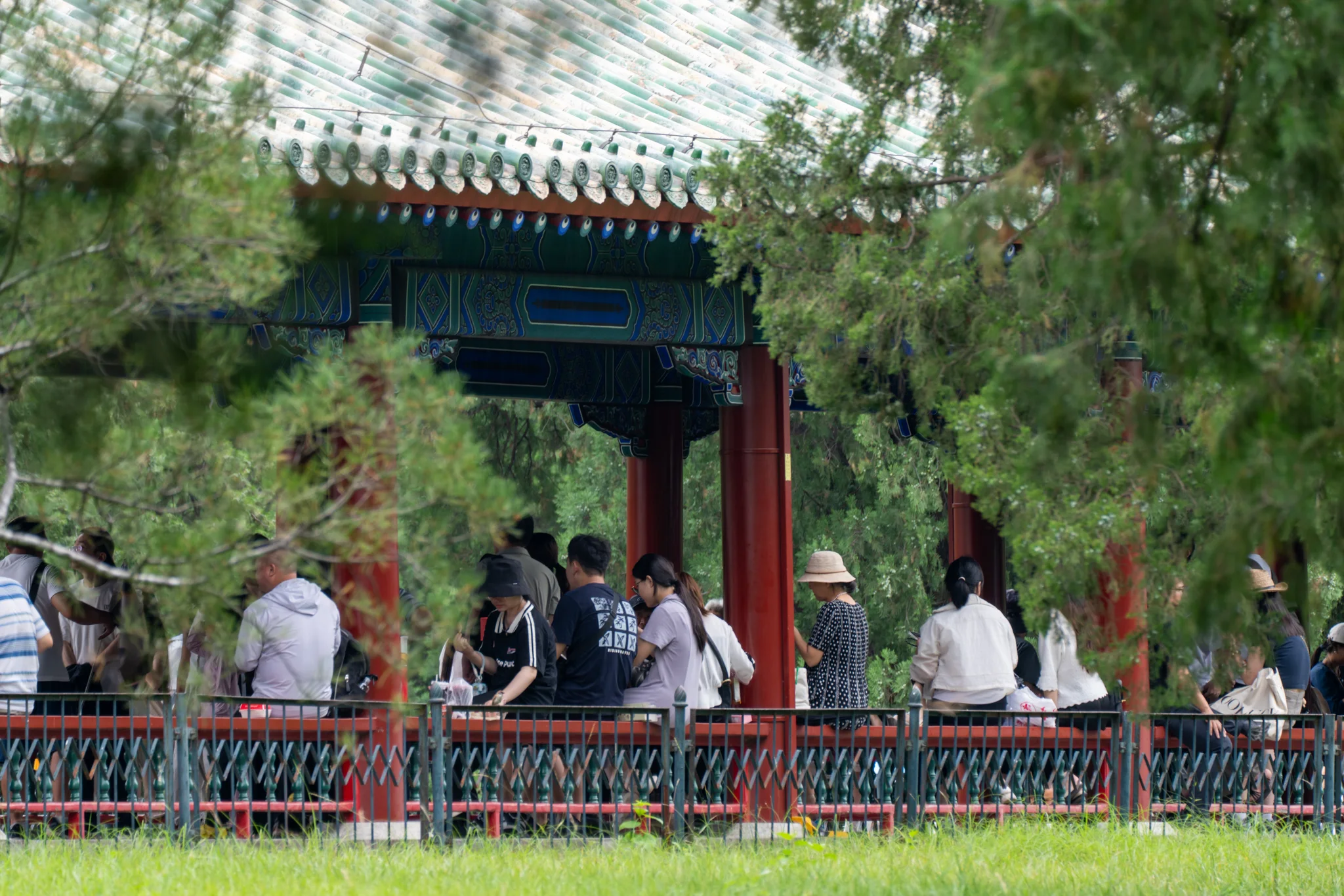 Temple of Heaven rooflines and visitors glimpsed through pine branches