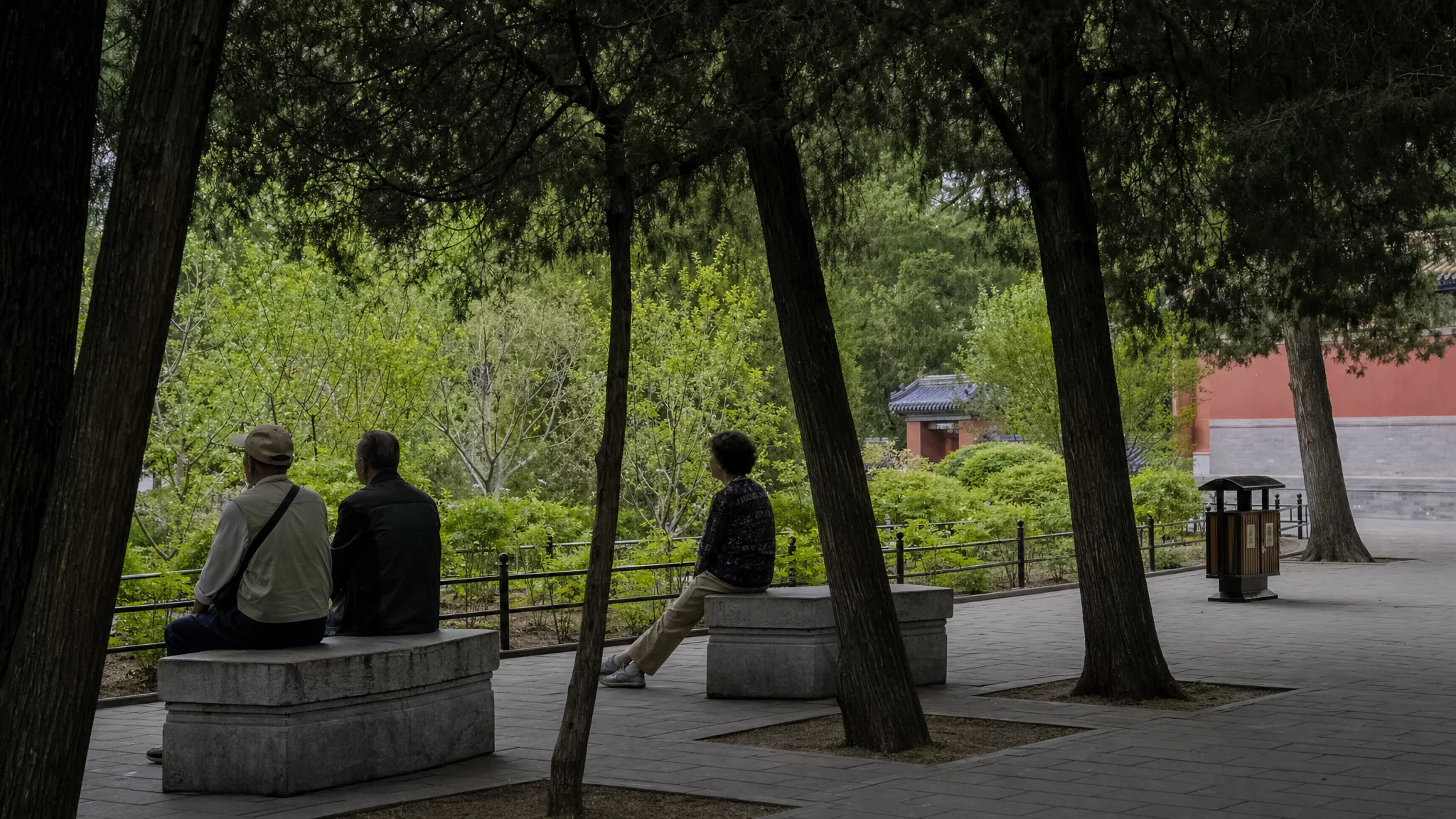 Beijing residents sharing a quiet morning in a neighborhood park