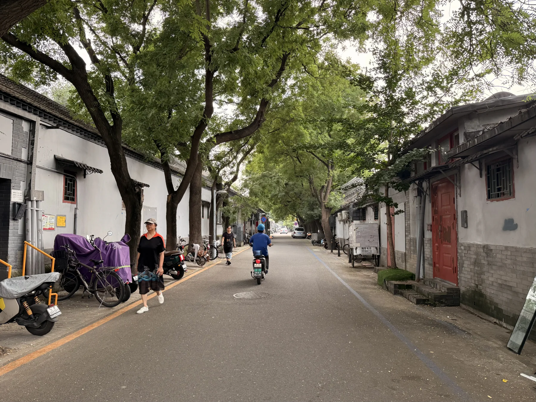 Everyday life along a tree-lined Beijing hutong, with residents walking and cycling through the neighborhood