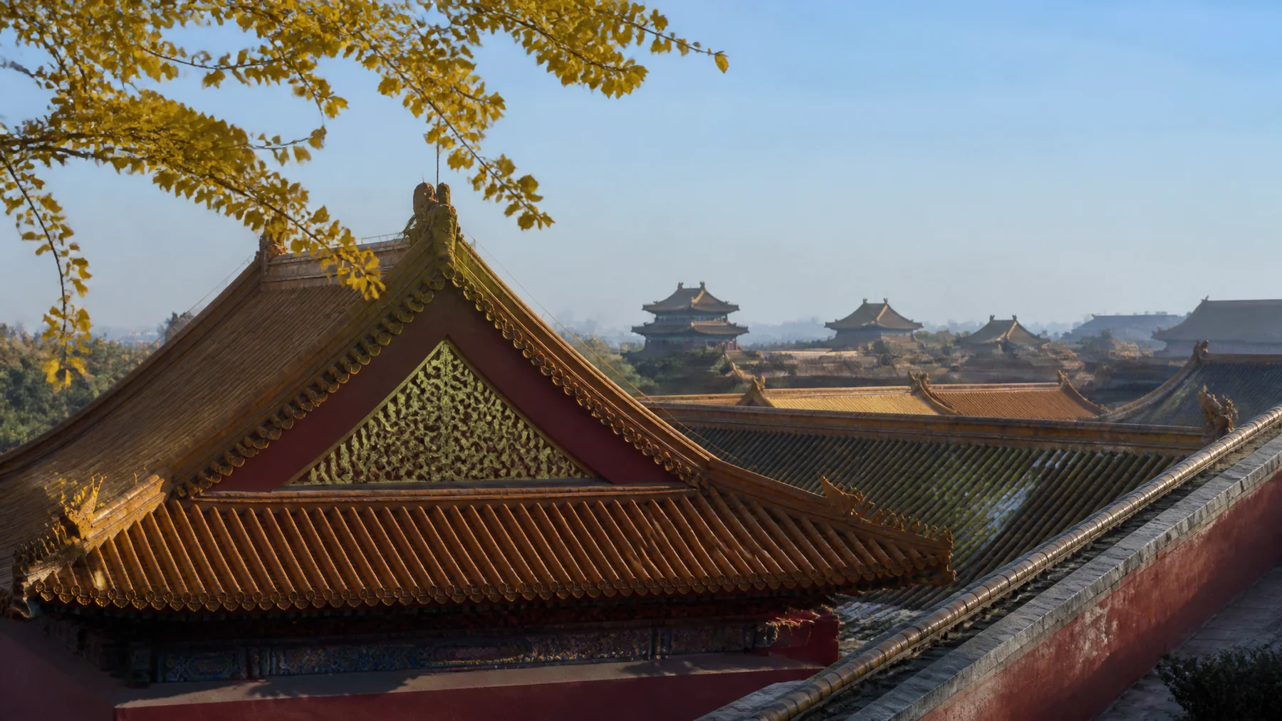 Forbidden City rooftops seen in autumn light